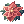 Pinguicula Corsage [1]