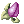 Mastela Fruit