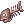 Rotten Fish