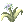 Illusion Flower