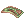 Poisonous Toad Skin